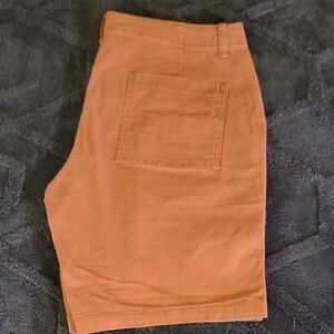 Goodthreads Men's Flat Front Shorts in Rust